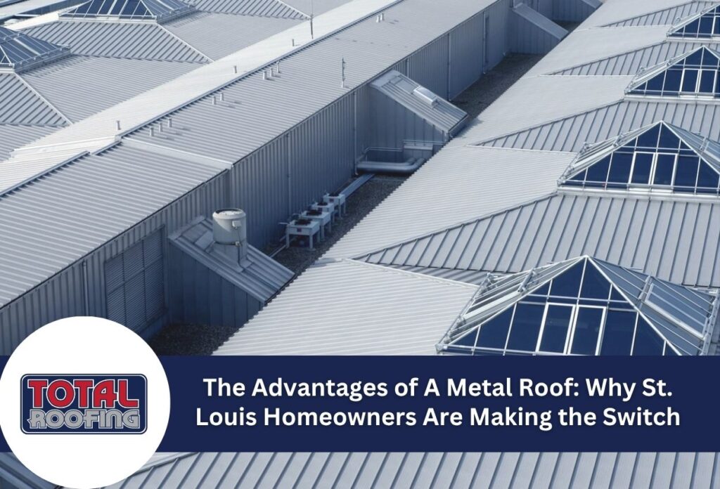 overview of metal roof